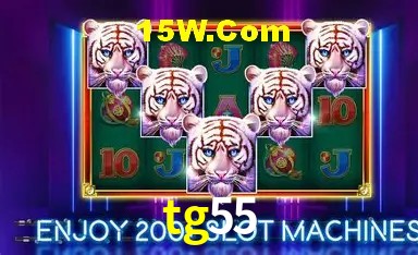 Flash Promotion tg55