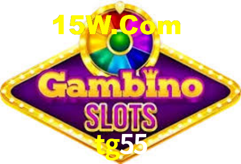 tg55 App Interface
